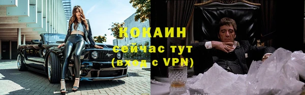 СК Новозыбков