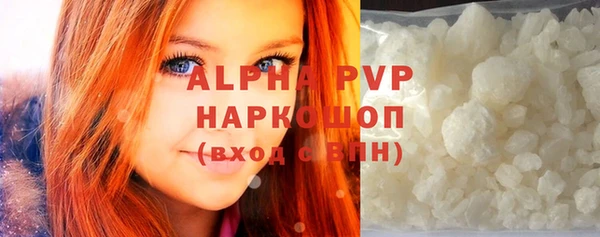 СК Новозыбков
