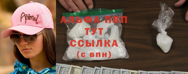 СК Новозыбков