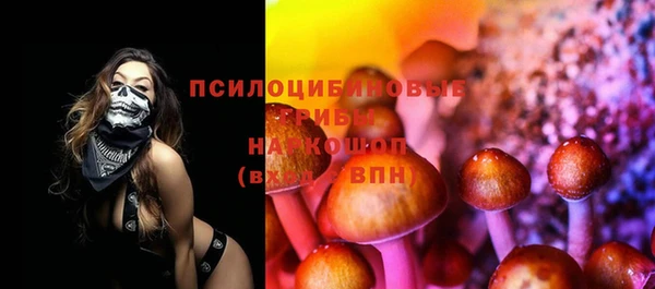 молекула духа Новодвинск