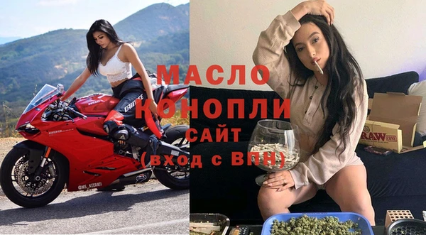 молекула духа Новодвинск