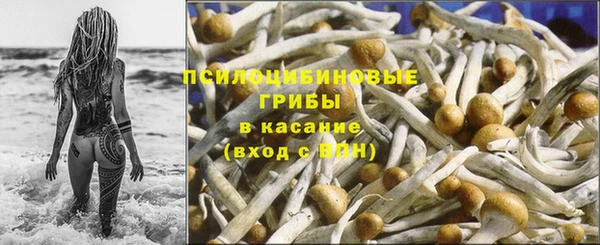 прущие крисы Новокубанск