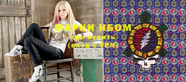 СК Новозыбков