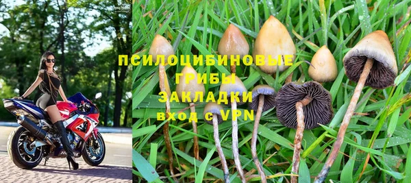молекула духа Новодвинск