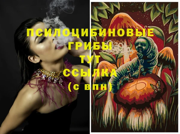 молекула духа Новодвинск